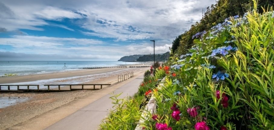 Sandown And Shanklin Run