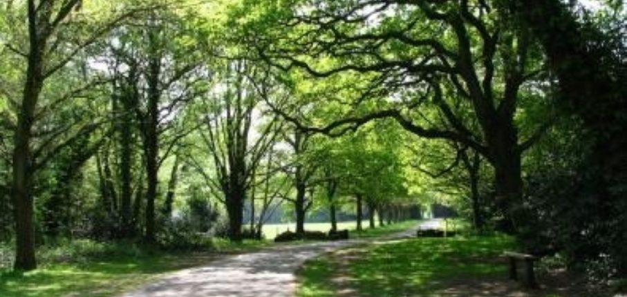 Southampton Common 10Km