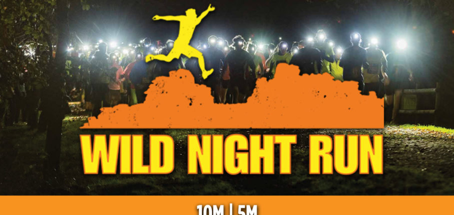 Wild Night Fb Ad Aug18