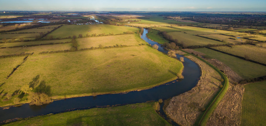Fen Drayton