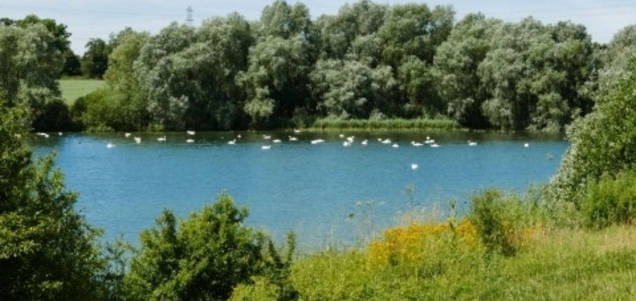 Grafham