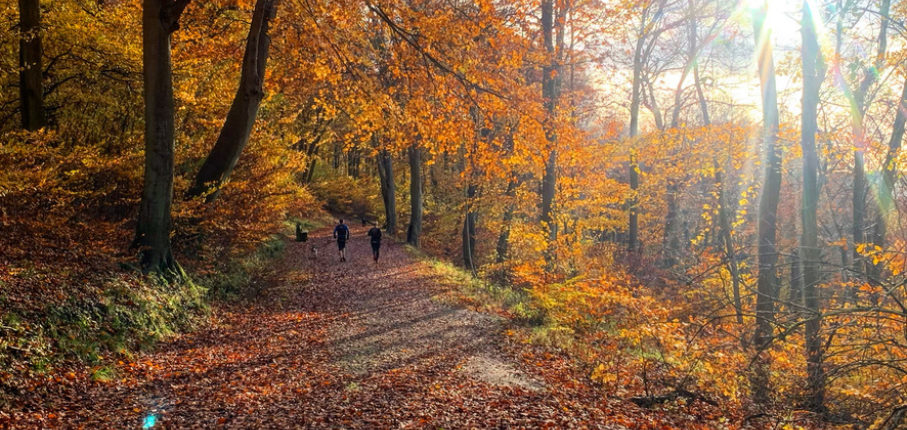 Autumn 10K4