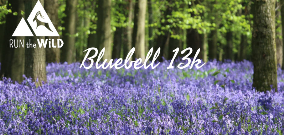 Bluebell13K