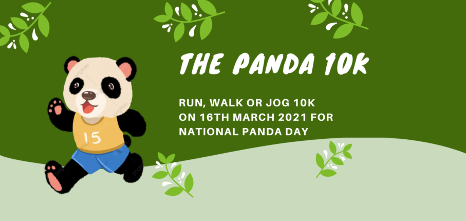 Panda 10K Findarace