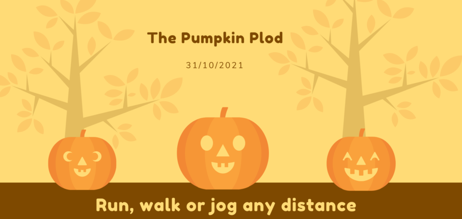 Pumpkin Plod Findarace