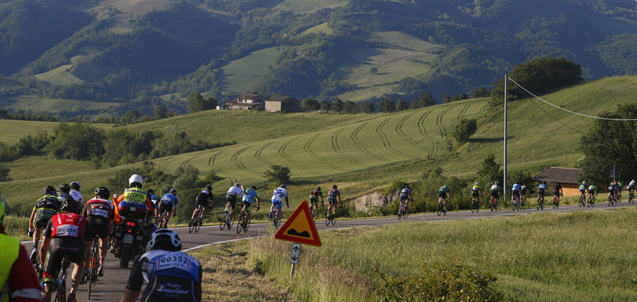 Colli