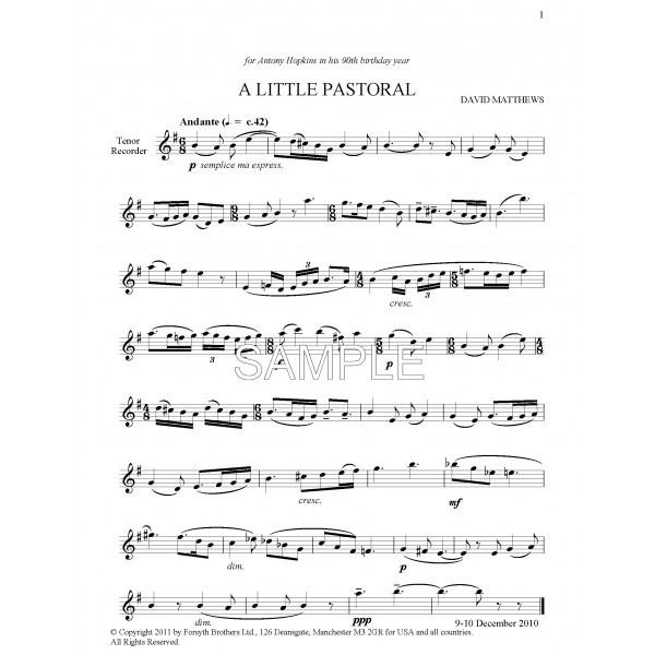 Pieces for Solo Recorder Vol.5 contemporary recorder solos