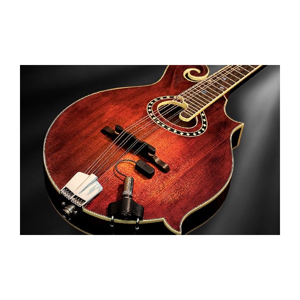 L. R. Baggs Radius Mandolin Pickup