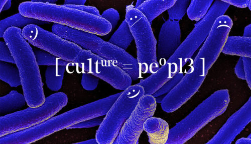 Culture Header