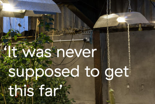 Quote