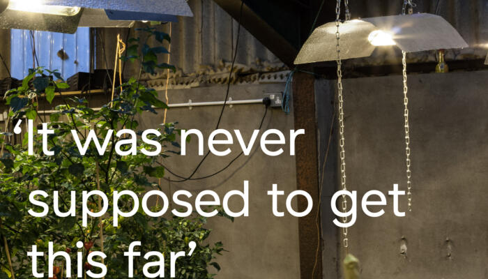 Quote
