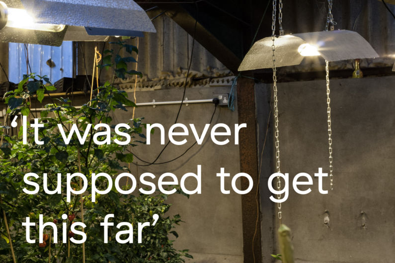 Quote