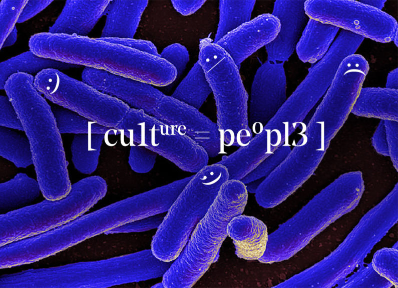 Culture Header