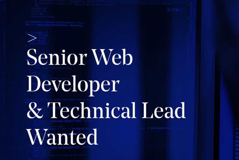 Senior Web Tech Lead Wanted