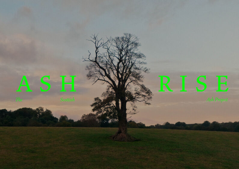 1 Ash Rise OPENING