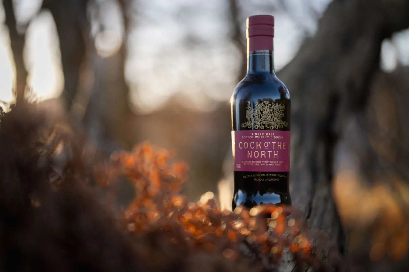 Cockofthenorthlocationphotos