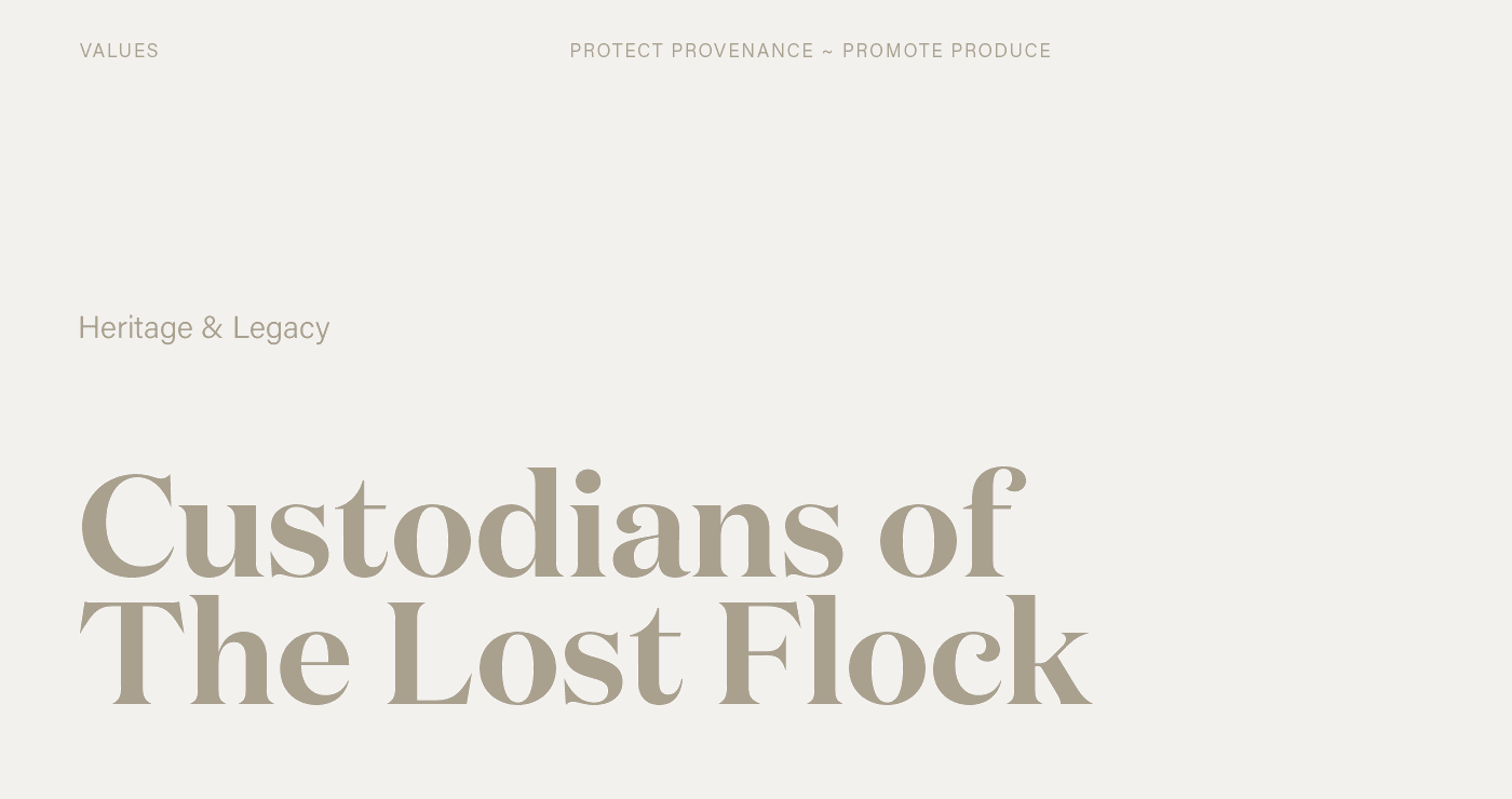 Orkney Boreray F Ortytwo Values TW