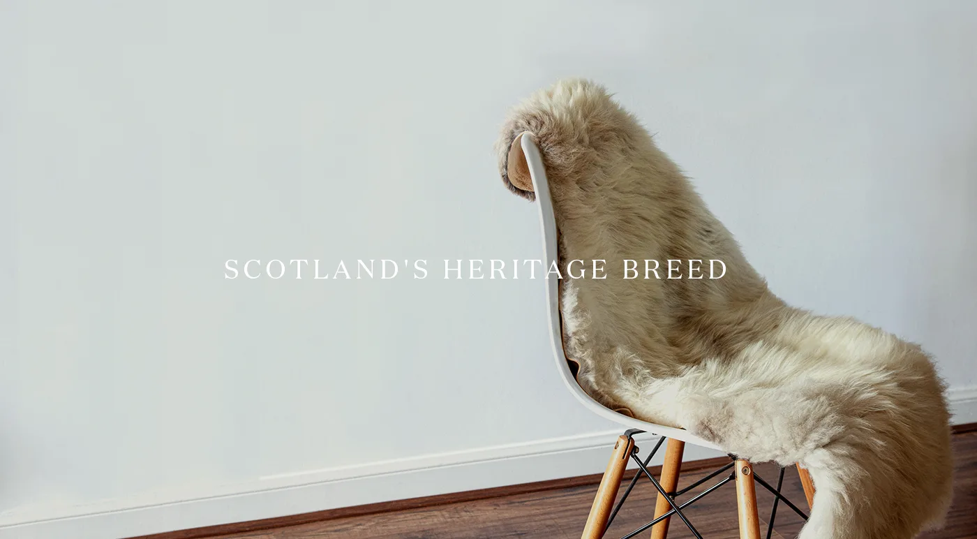 Orkney Boreray chair Heritage psd