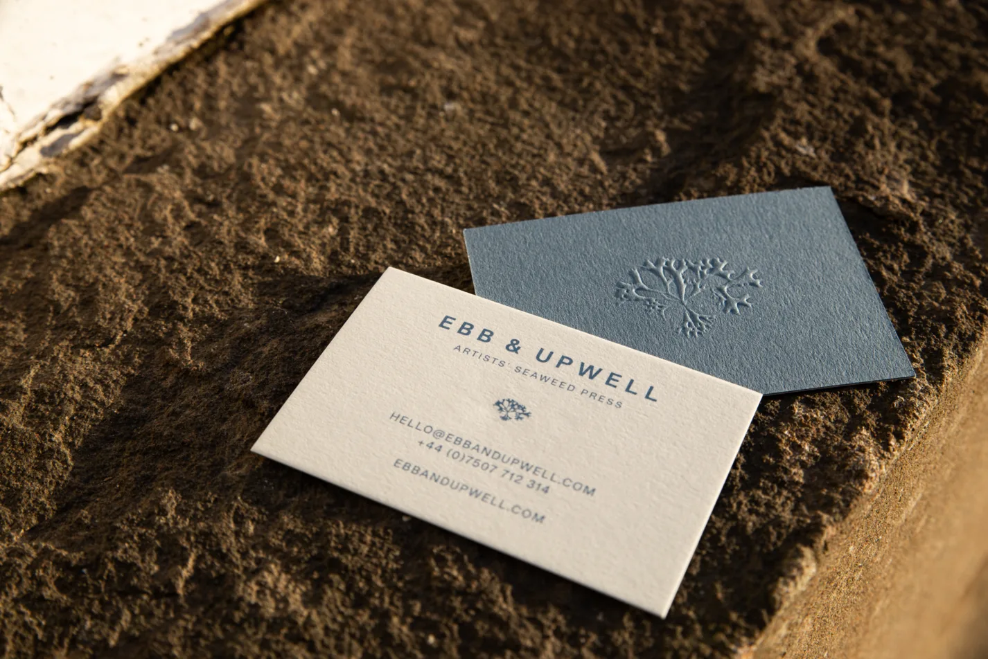 Portia Knight Stationery 5