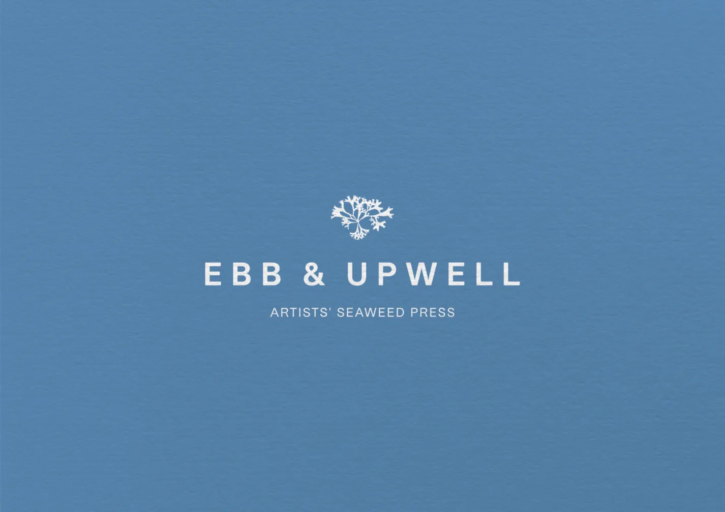 Ebb Upwell Brand Development