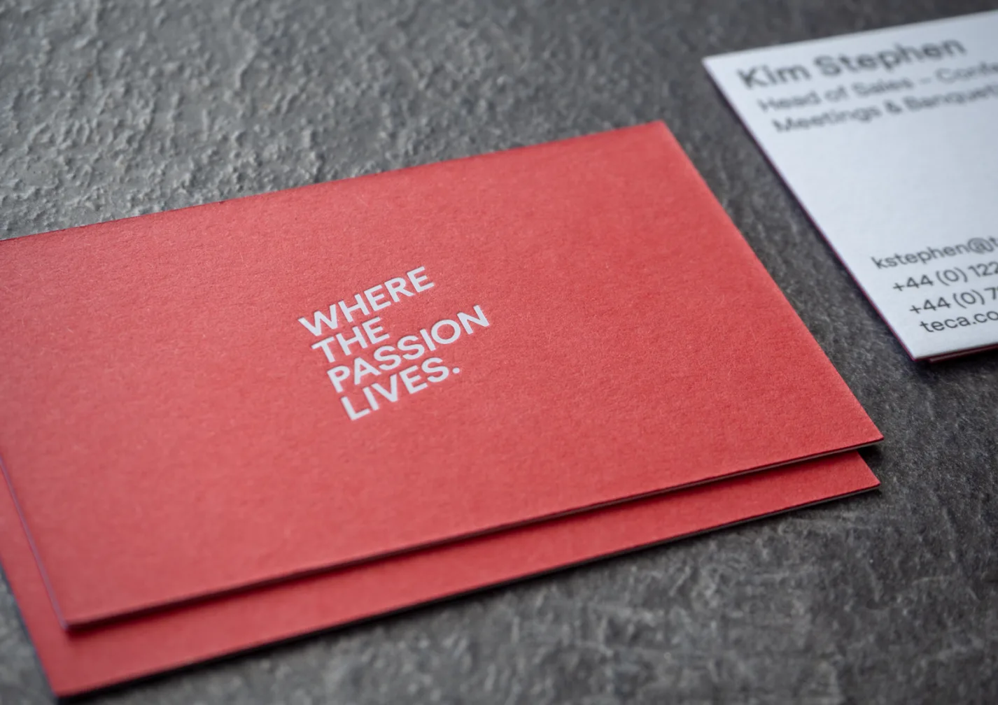 Teca Logo Fortytwo Studio Card1