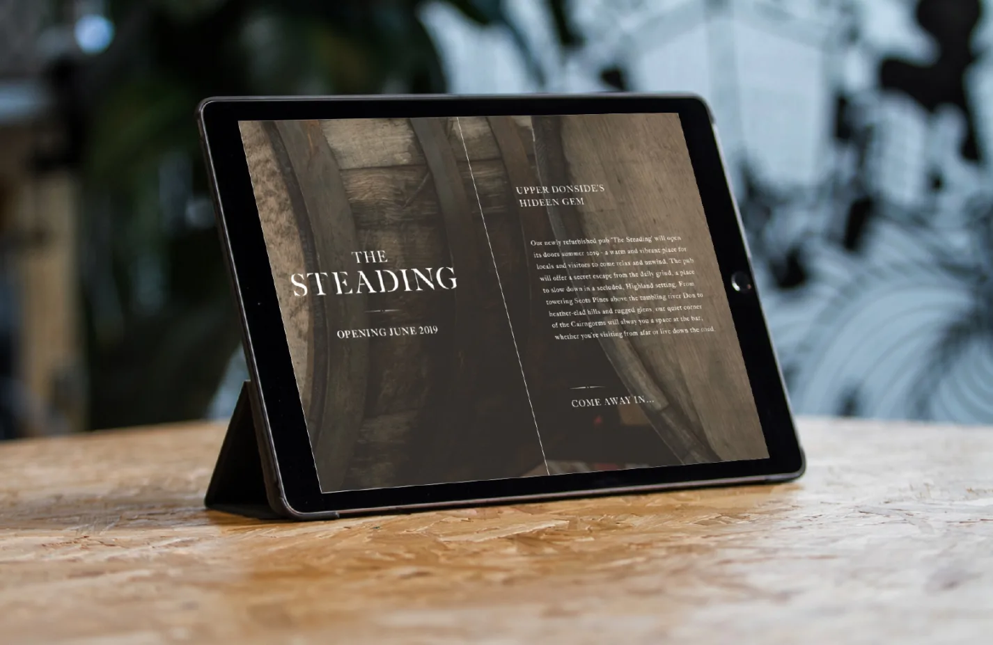 Forty Two Studio Lonach Steading Holding Page