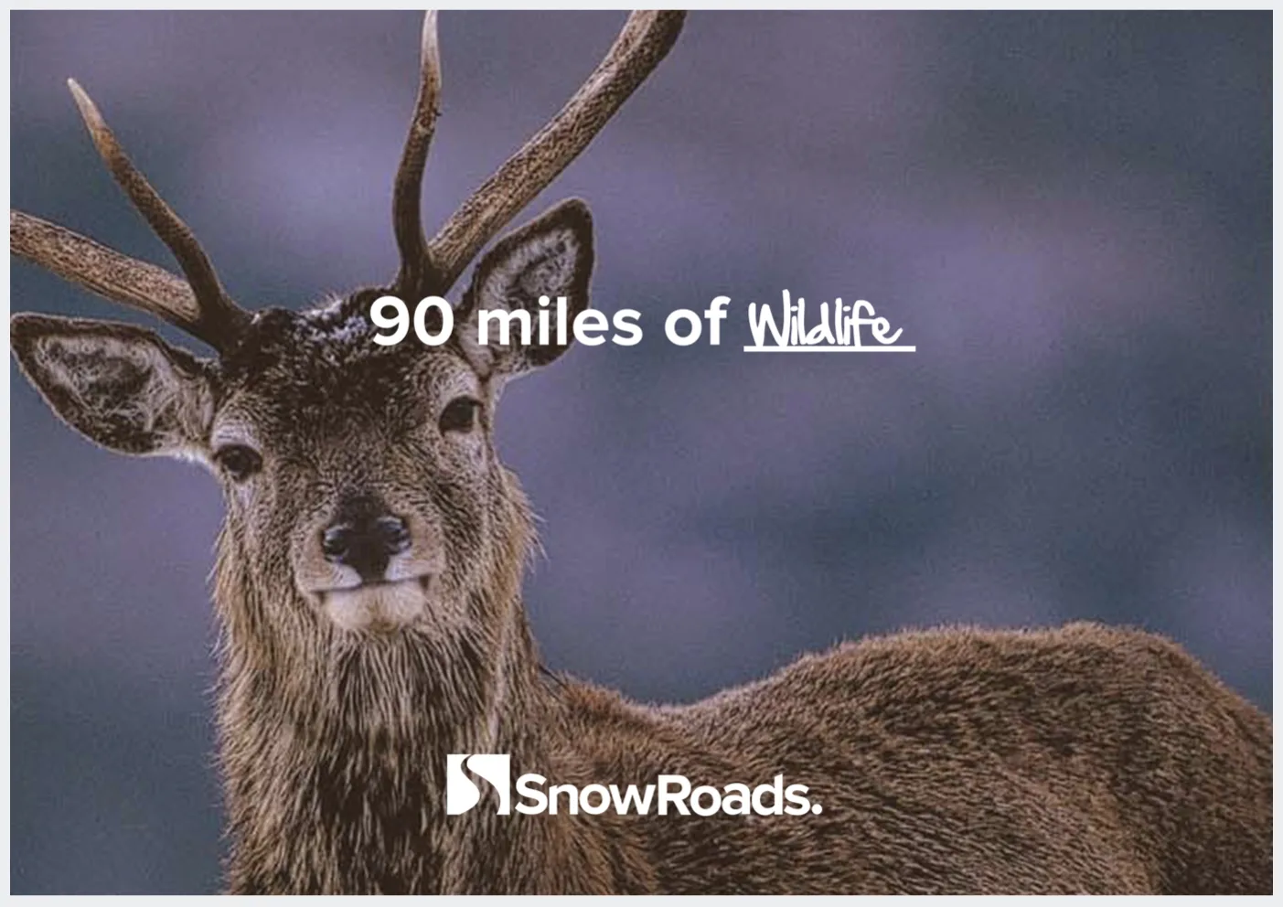 Snowroads Images 010