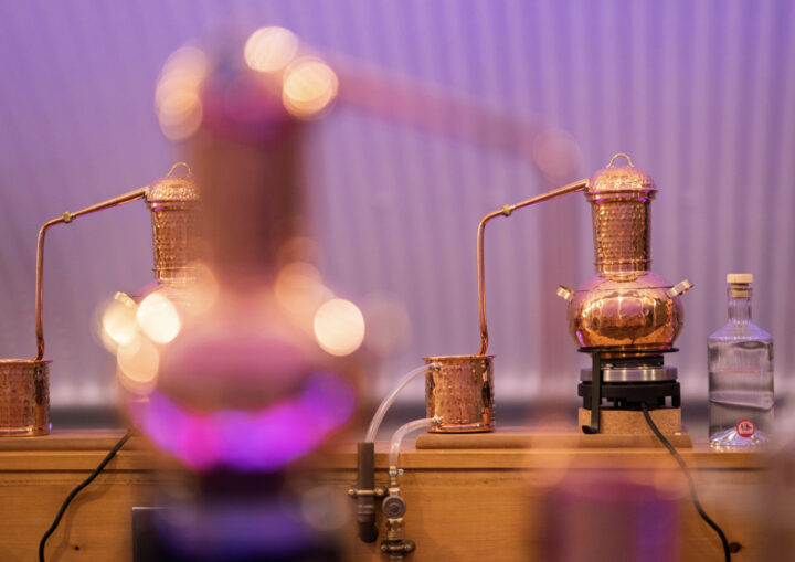 COAD Images GI Fs 026