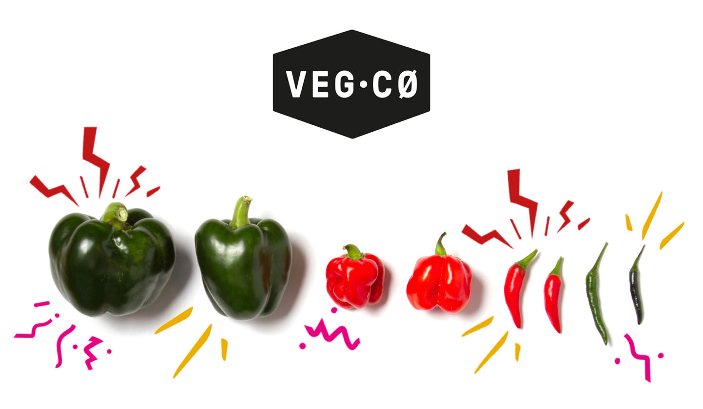 Chillisandlogo