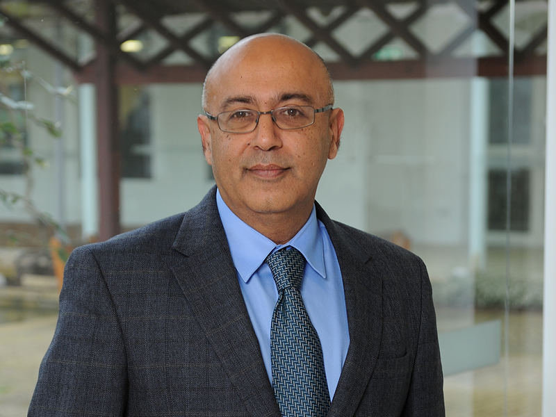 Rajneesh-Narula.jpg