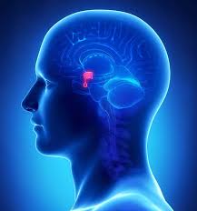 Implement an opt out hold expiry date