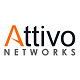 Attivo Networks Cyber Security Company