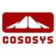 CoSoSys Cyber Security Company