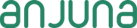Anjuna Cyber Security Company