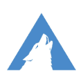 Arctic Wolf Networks Cyber Security Company