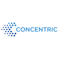 Concentric AI Inc Cyber Security Company