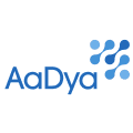 AaDya Security Cyber Security Company