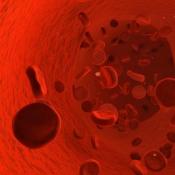 Blood