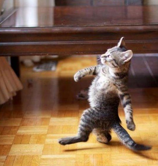 Bildschirmfoto 2013-03-29 um 16.33.02