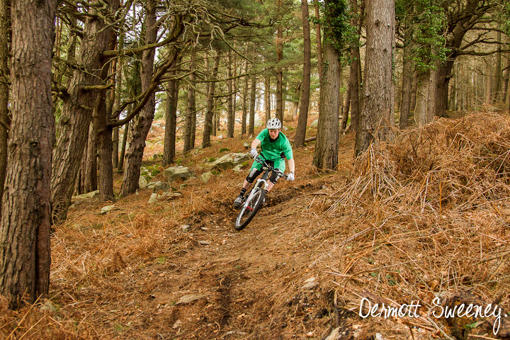 Greg Callaghan By Dermott Sweeney