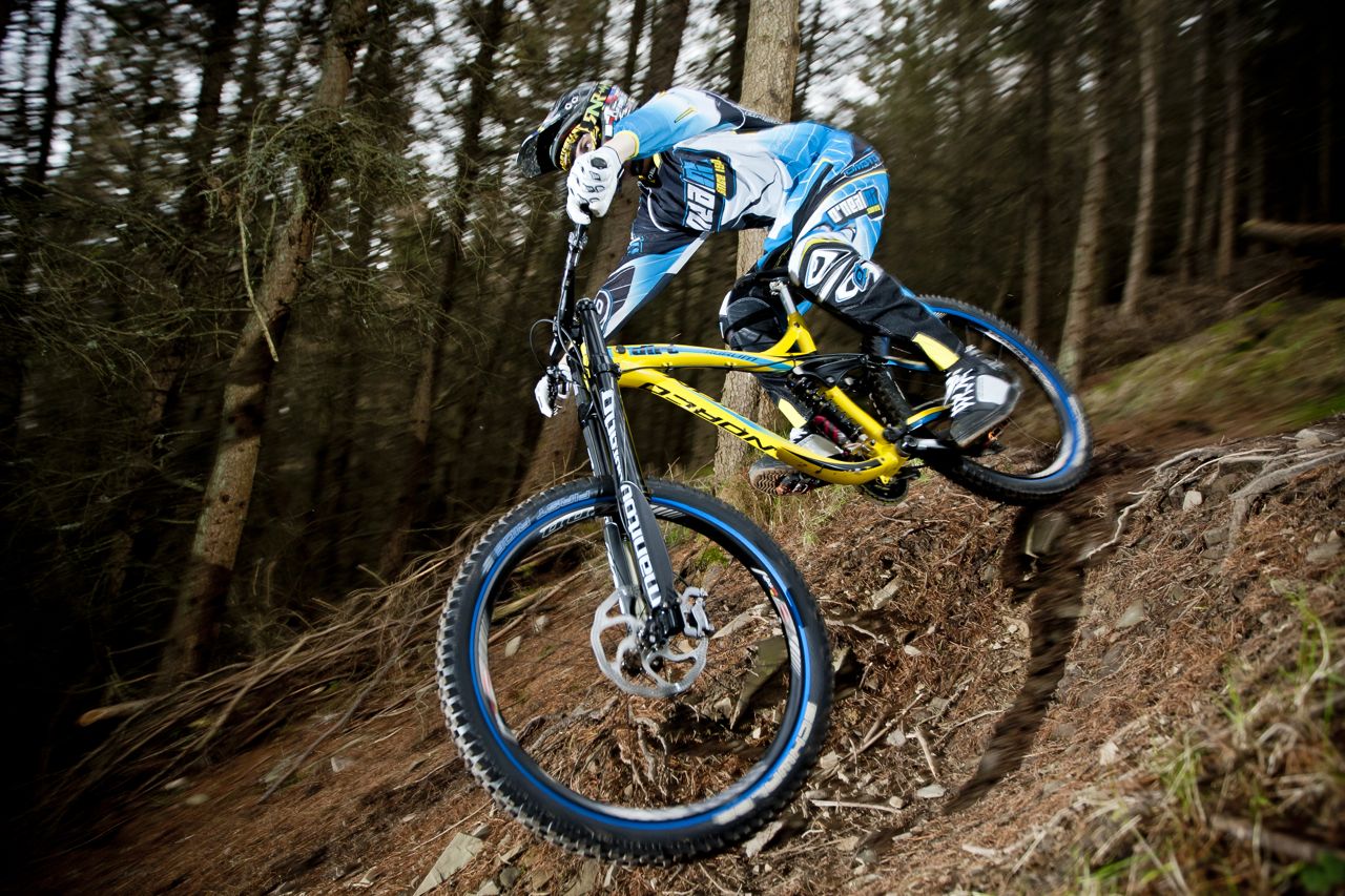 George Gannicott By Ian Linton