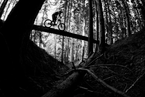 Bikepark_Leogang_3_by AleDiLullo