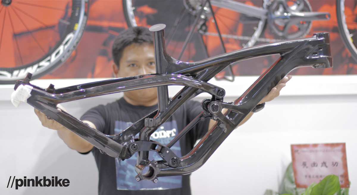 Polygon_Carbonframe(c)pinkbike