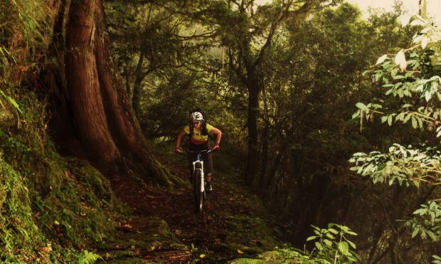 Nicole Beege in Taiwan