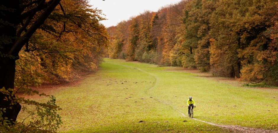 Rose Pro DX Cross 4400