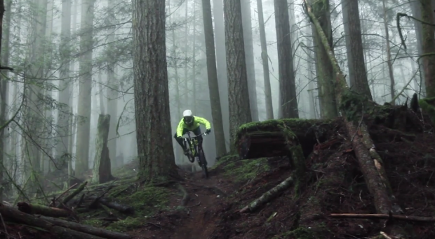 Forrest Riesco Effortless