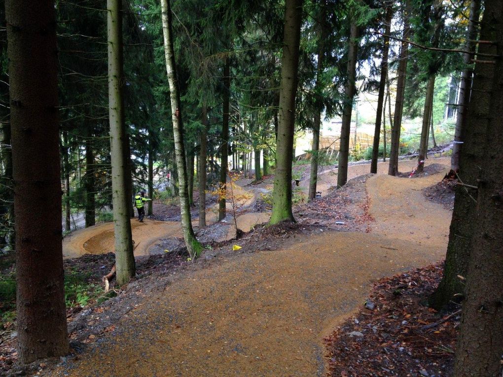 Flowtrail - Bikewelt Schöneck