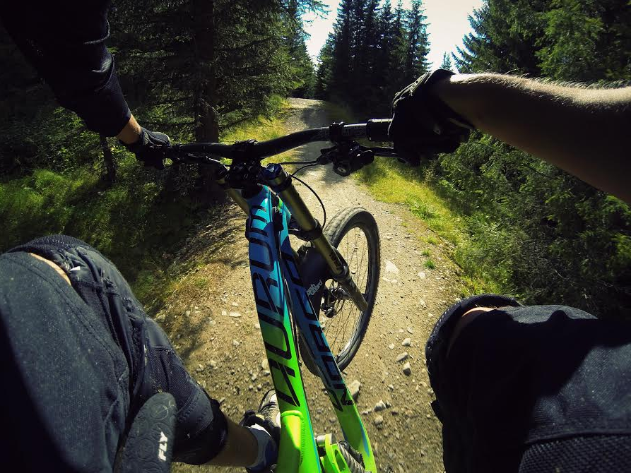 Luis Norco Aurum Action