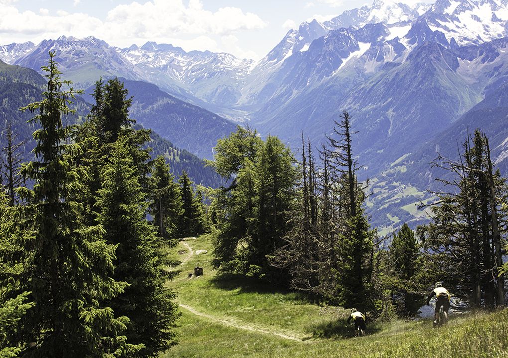 Enduro 2 Team Racing 2