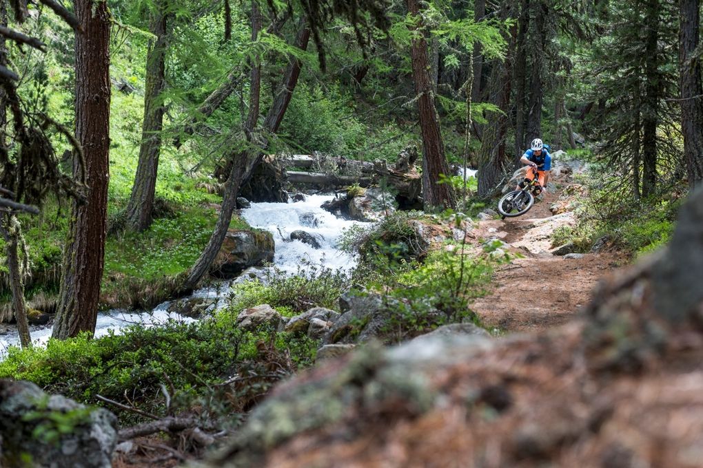 Enduro_Andi Wittmann